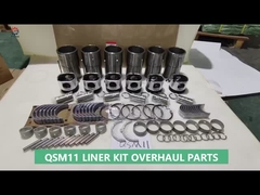 Kit de revestimento QSM11 M11
