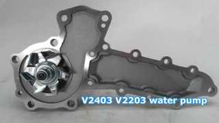 Bomba de água V2403 V2203