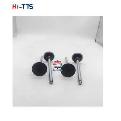 D2366 Partes sobressalentes de motores diesel válvula de admissão 6504101-0044