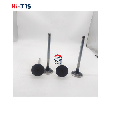 D2366 Partes sobressalentes de motores diesel válvula de admissão 6504101-0044
