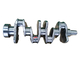 Eixo de manivela 129902-21000 YM129902-21000 de Engine Parts 4TNV94 da máquina escavadora