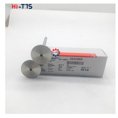 4BT 6BT 6D102 válvula de admissão do motor diesel válvula de escape 4995554 3901117 3920867 3920868